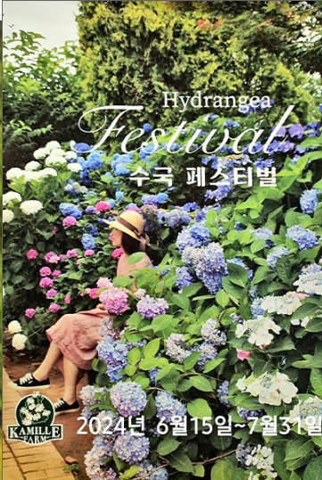 수국페스티벌