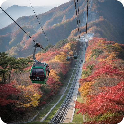 내장산국립공원(케이블카) 가상 이미지