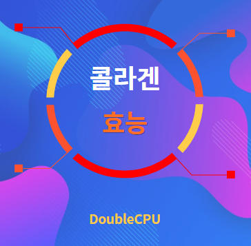 콜라겐 효능 탐구