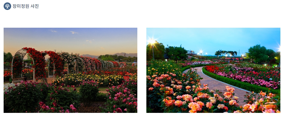 곡성세계장미축제