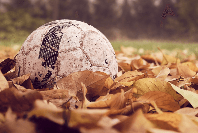 축구 중계방송 무료보기