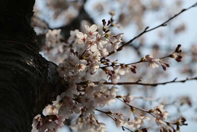 숙박세일페스타 할인쿠폰 사용방법 및 다운로드