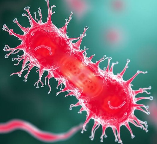 트리코모나스 질염 증상