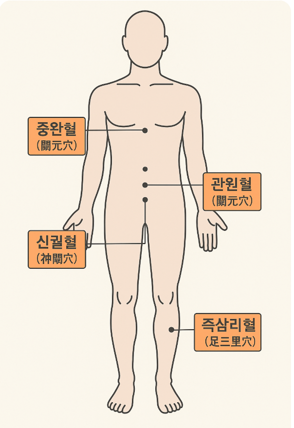 혈자리-위치