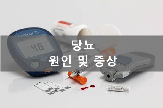 당뇨 원인 및 증상
