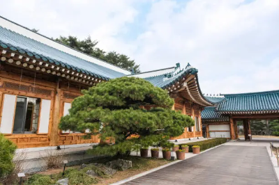 청와대3