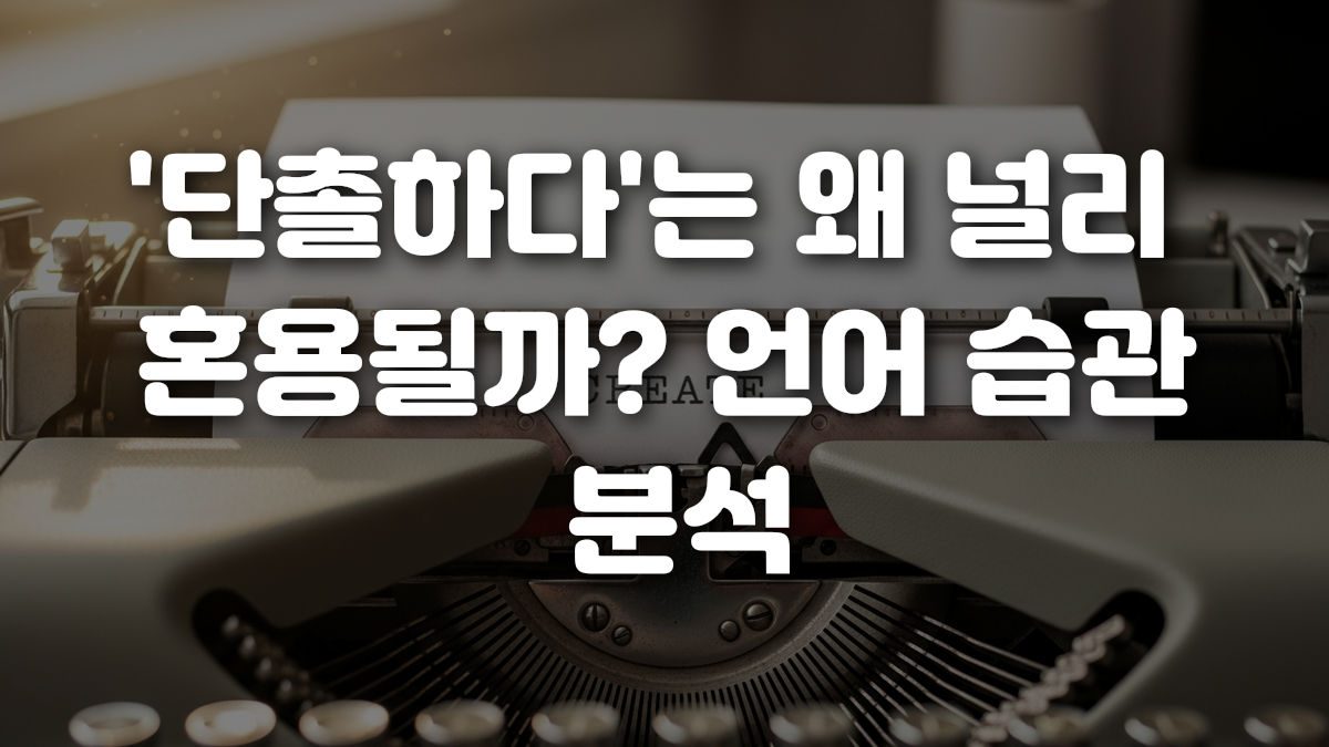 단촐하다 는 왜 널리 혼용될까 언어 습관 분석