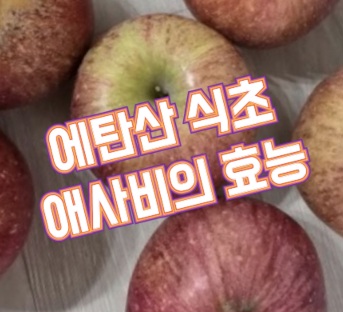 에사비-효능-에탄산-식초
