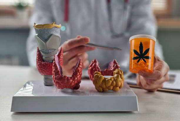 갑상선 기능 항진증의 요약 정리표를 설명하는 이미지