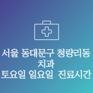서울 동대문구 청량리동 치과 주말 토요일 일요일 문여는 병원 진료시간