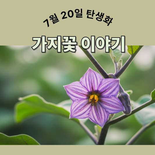 7월 20일 탄생화, 가지꽃 - 진실한 사랑과 결실의 꽃