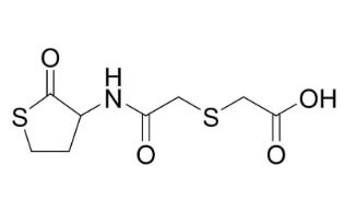 원료의약품 부문