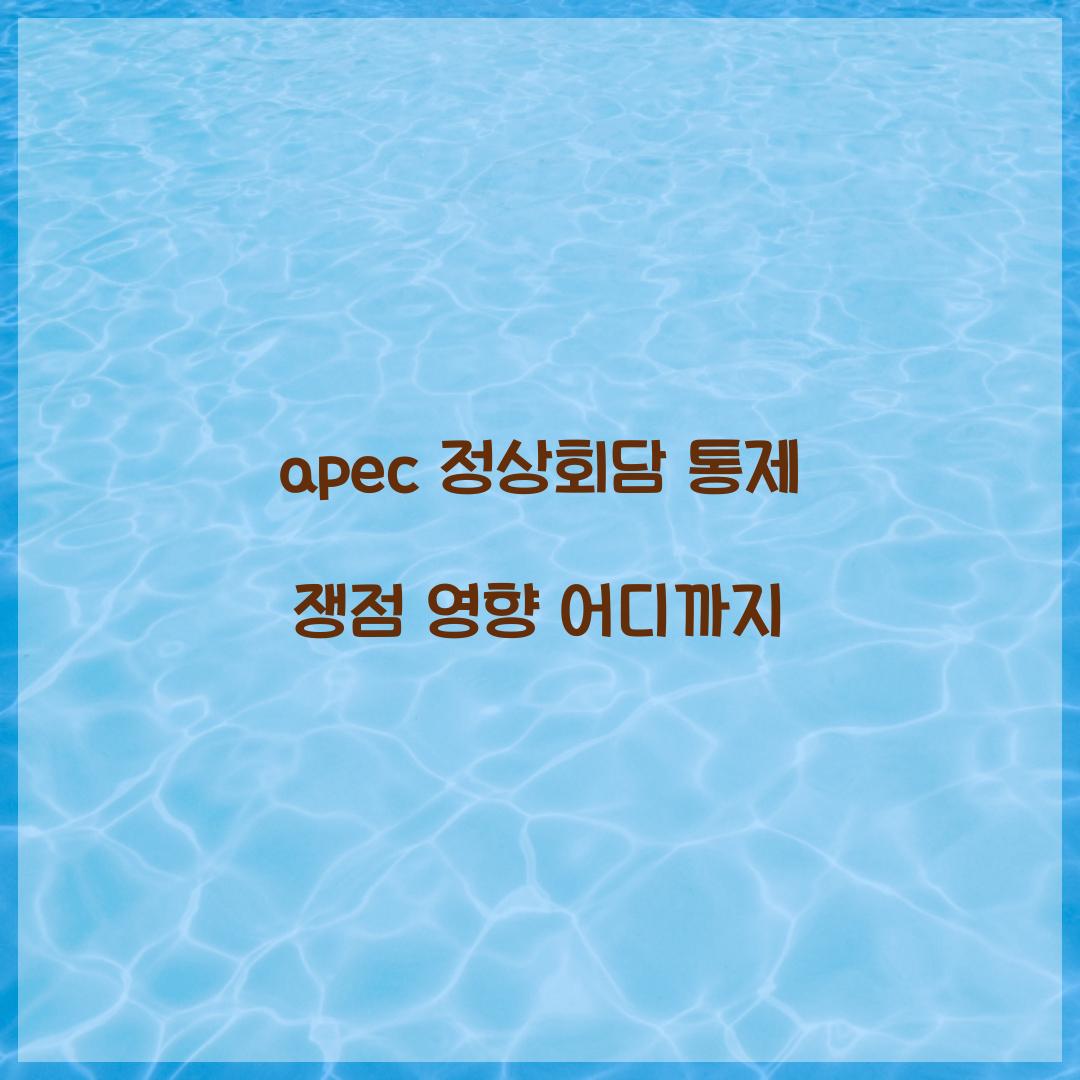 apec 정상회담 통제