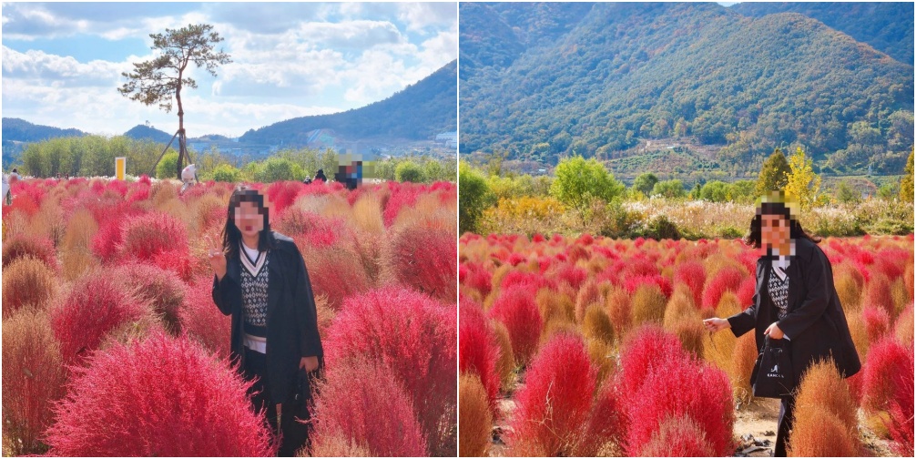 댑싸리밭에서 사진찍는사람 사진
