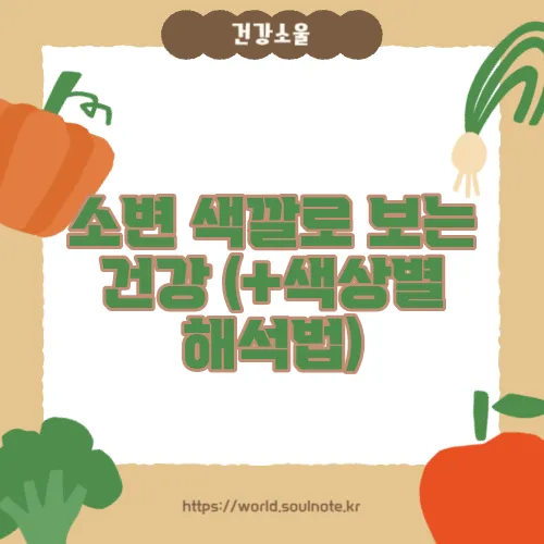 소변 색깔로 보는 건강 (+색상별 해석법)