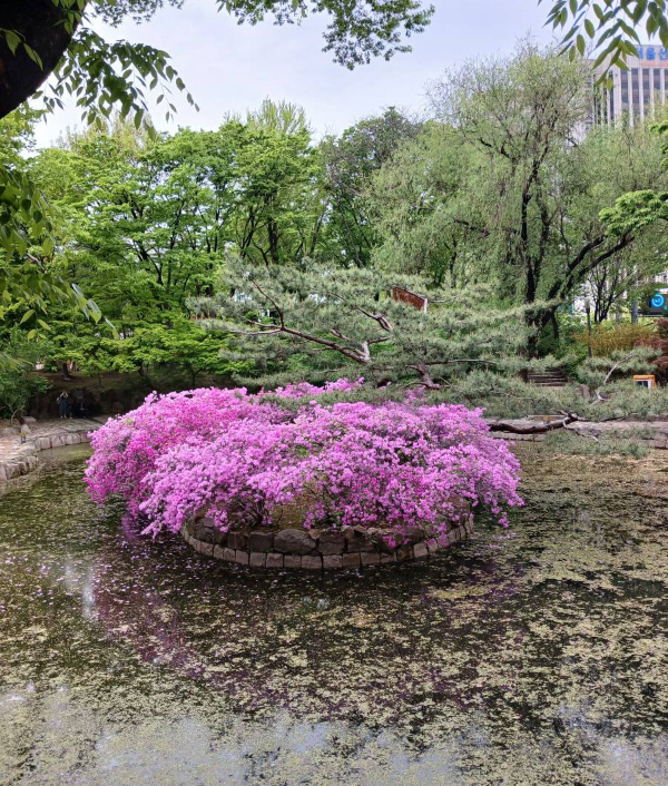 덕수궁 연못