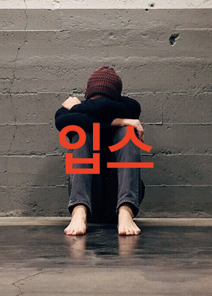 입스 뜻