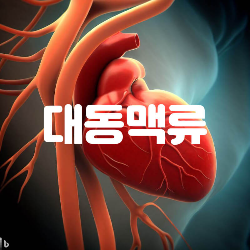대동맥류