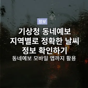 동네 예보 초단기 강수 돌발 소나기 대비 이동 팁_24