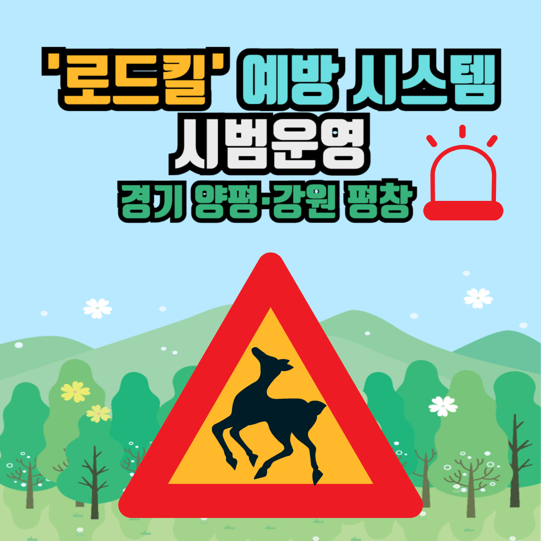 로드킬 예방시스템