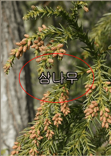 옥천 화인산림욕장 가는 방법