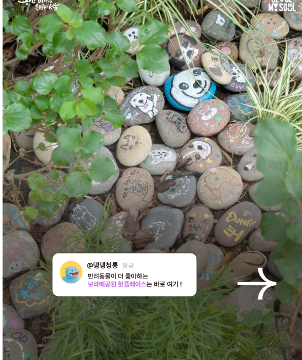 🌿 2025 서울국제정원박람회 완벽 가이드 – 기간, 입장료, 주차 정보 총정리!