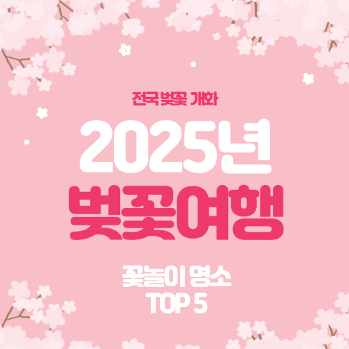 2025년 벚꽃 개화시기