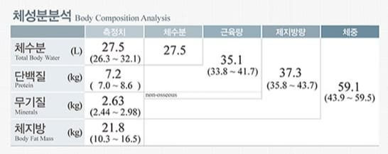 인바디, 체성분분석