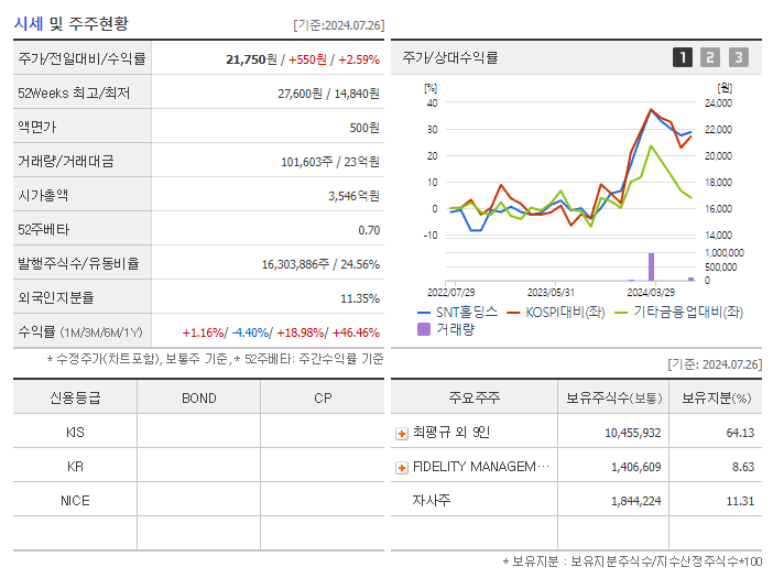 SNT홀딩스_기업개요