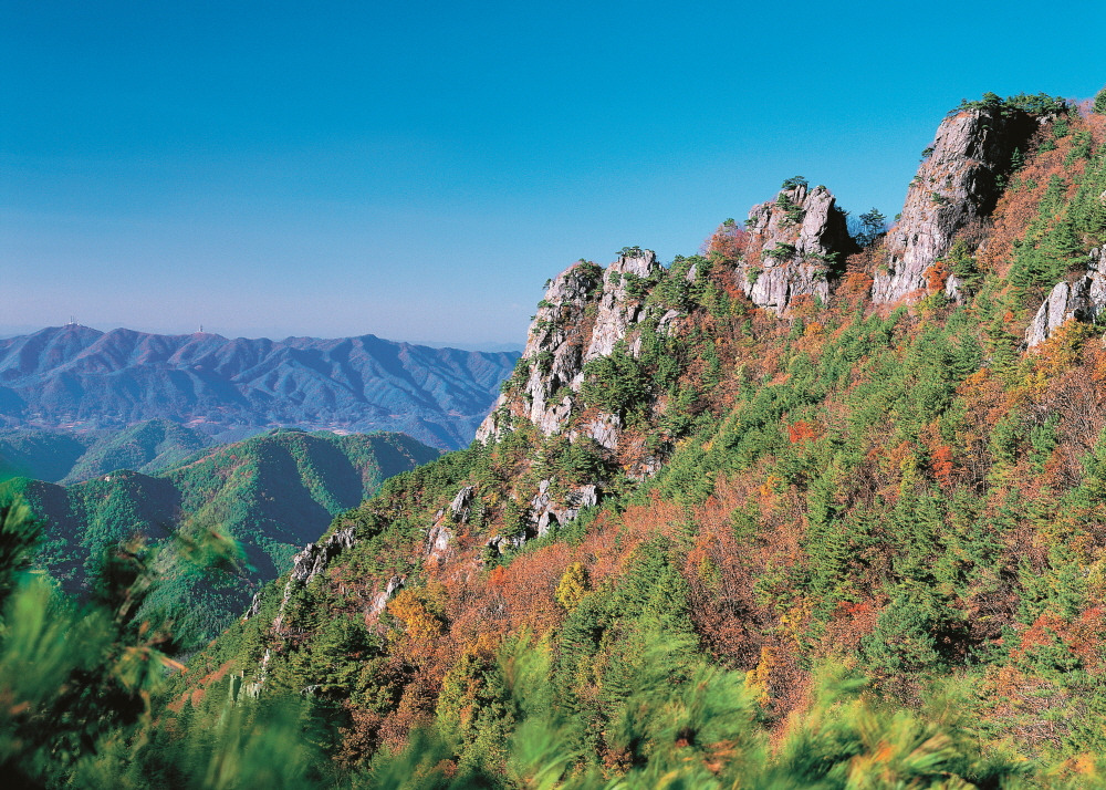 서대산 등산코스 지도