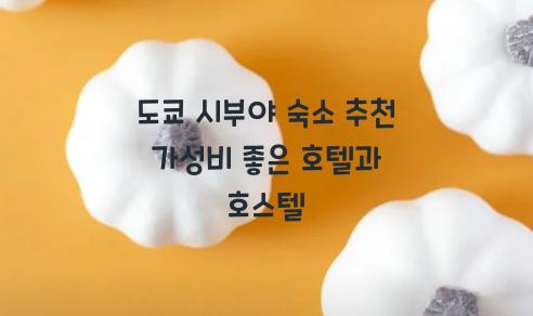 도쿄 시부야 숙소 추천  