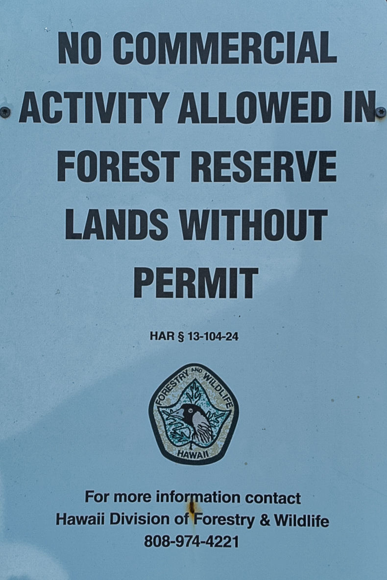 마우나케아 천문대 은검초