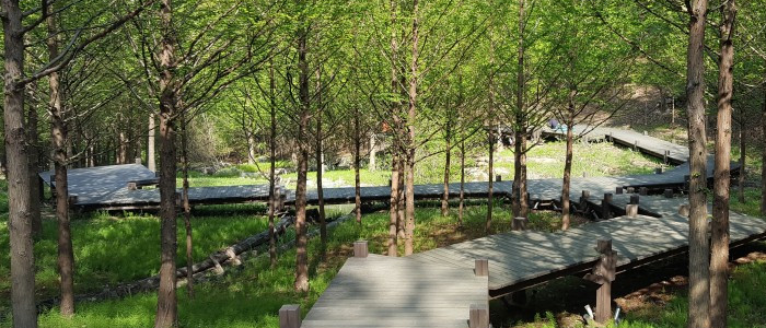 과천 서울대공원3