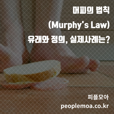 머피의 법칙7