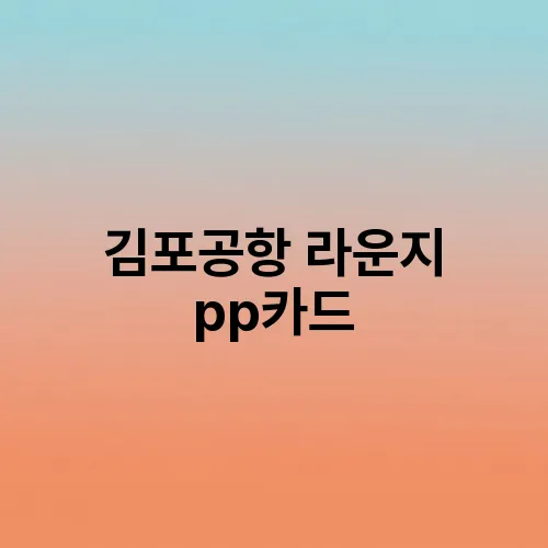 김포공항 라운지 pp카드