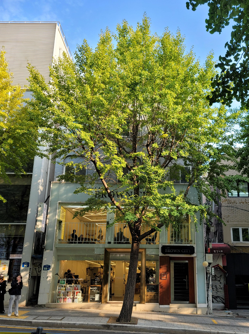 홍대 브라운시티 본점 외관