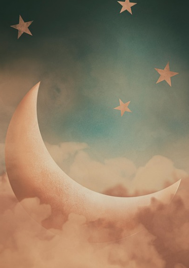 잠이 안올때 숙면에 좋은 차 5가지 추천 (권장량,섭취시간)