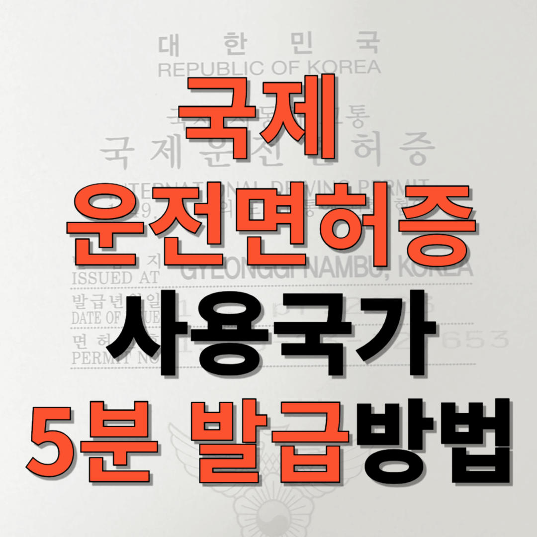 국제운전면허증 사용국가 발급방법