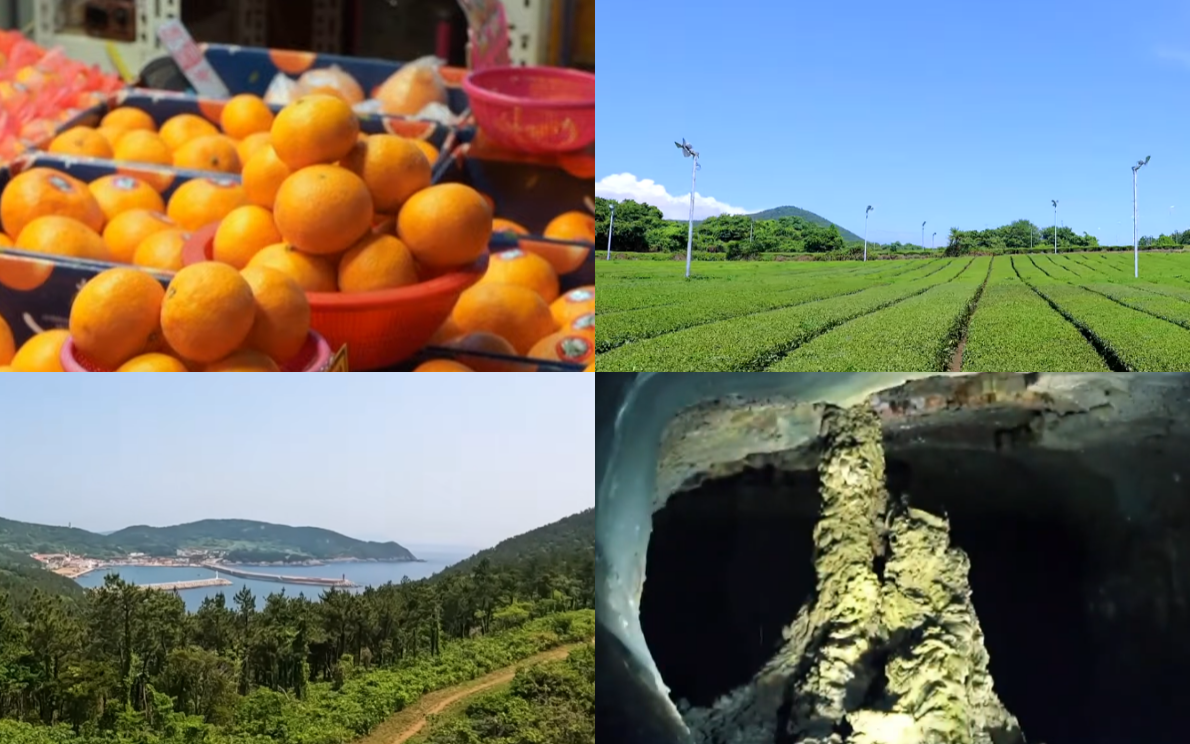 12월 제주도 가볼만한곳 10곳