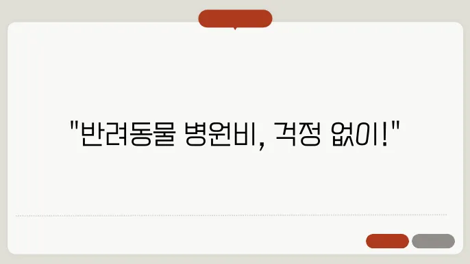 반려동물 병원비 지원 보험, 가입 방법과 보상 한도