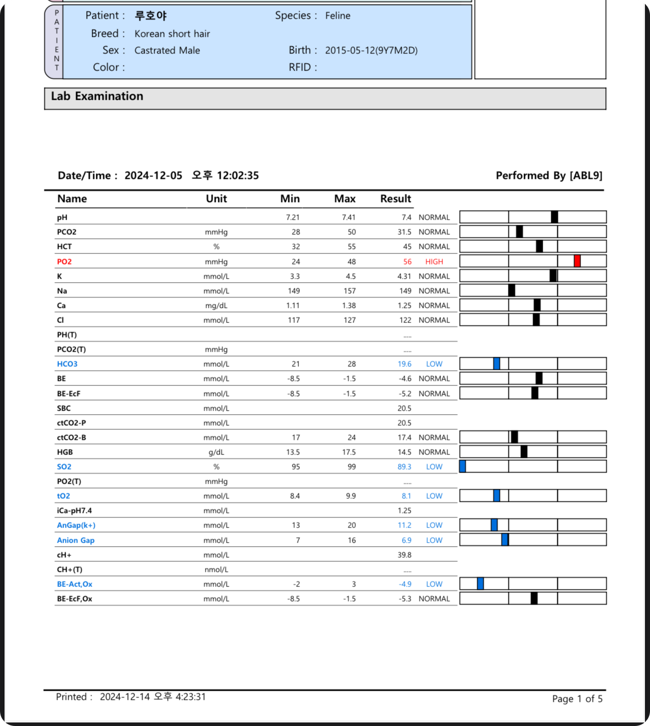 2024년_12월_5일_호야_검사_결과
