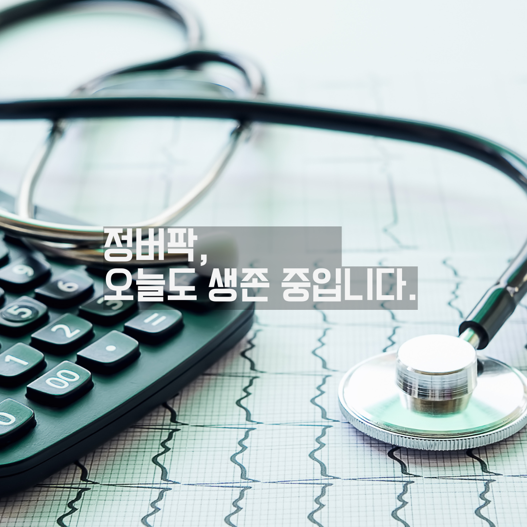 본인부담상한제