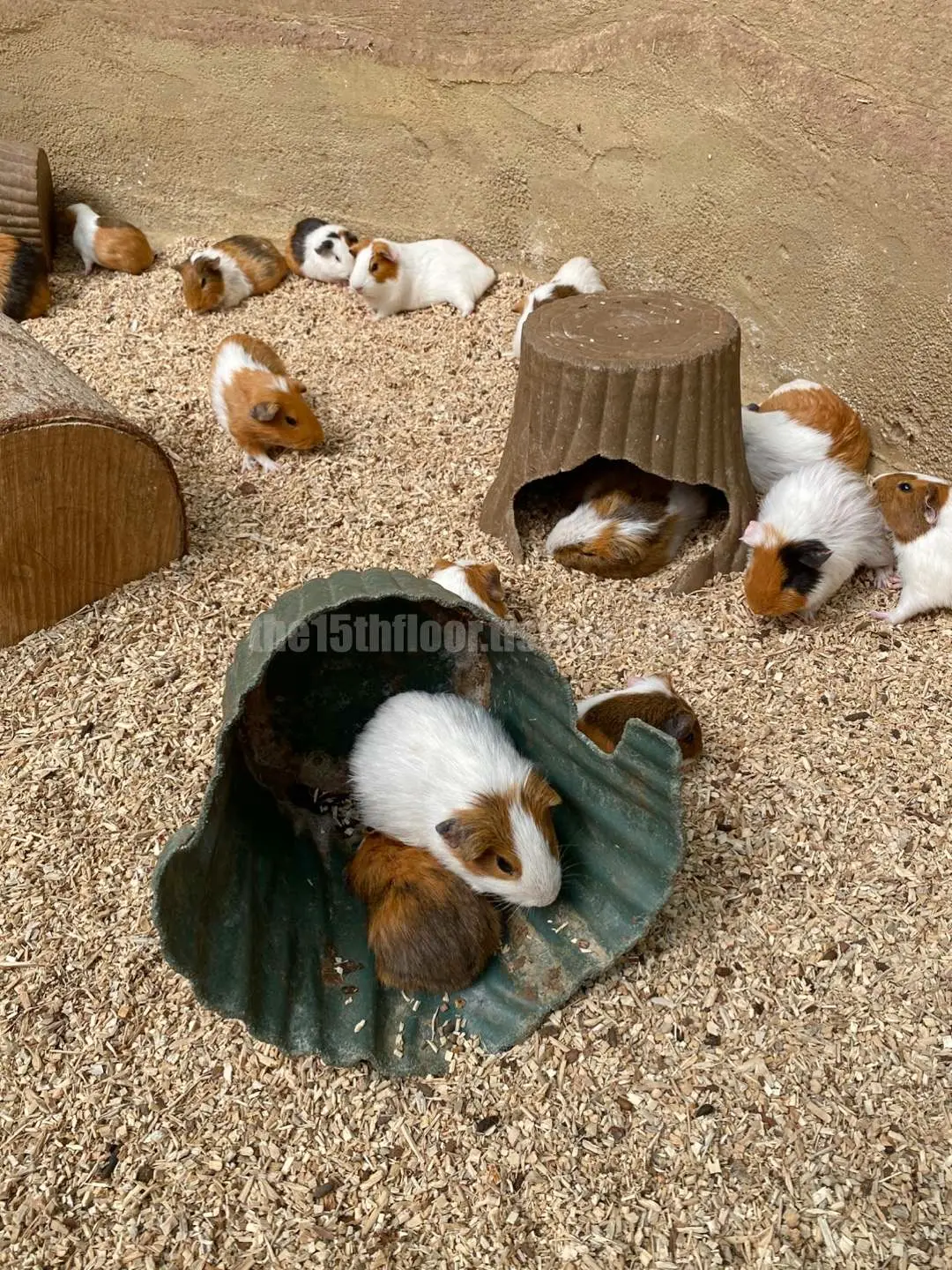 경남 의령 &amp;#39;의령 곤충생태학습관&amp;#39; (1층&amp;#44; &amp;#39;생태 유리온실&amp;#39;)