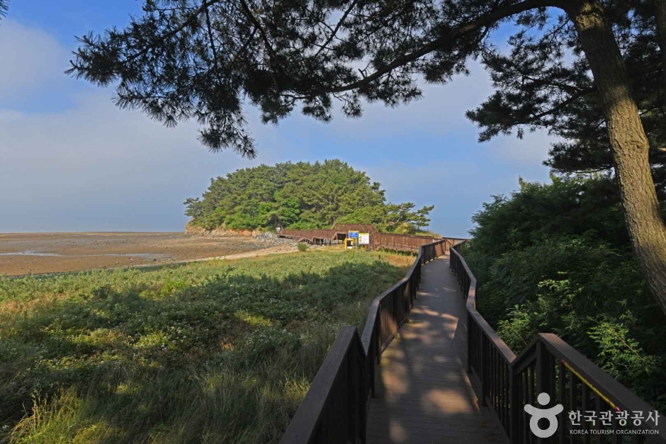 홍성 가볼만한곳 베스트10