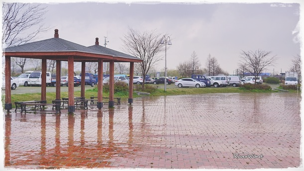 비오는 삼락공원