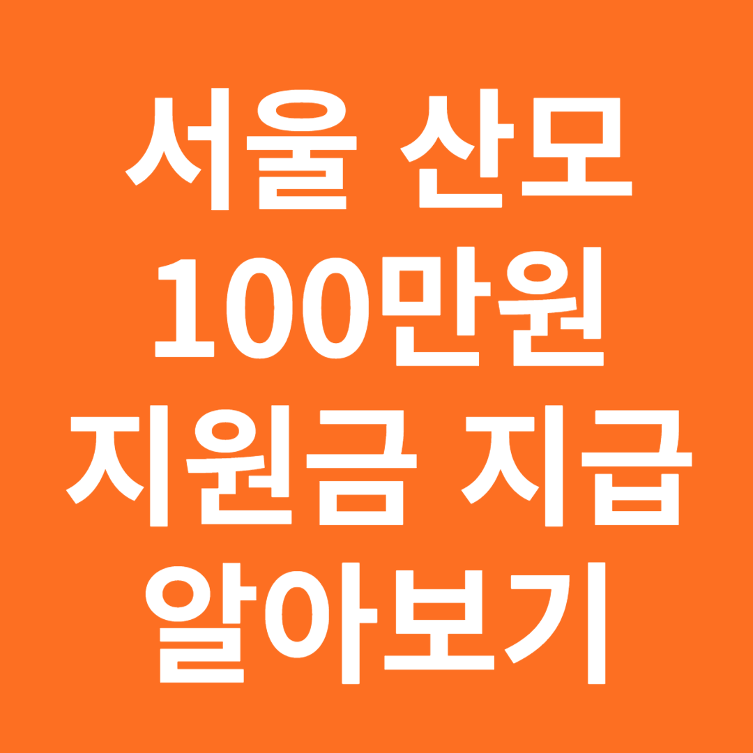 서울 산모 산후 조리비 지급