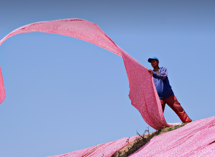 헌옷 기부단체, 온라인 신청방법