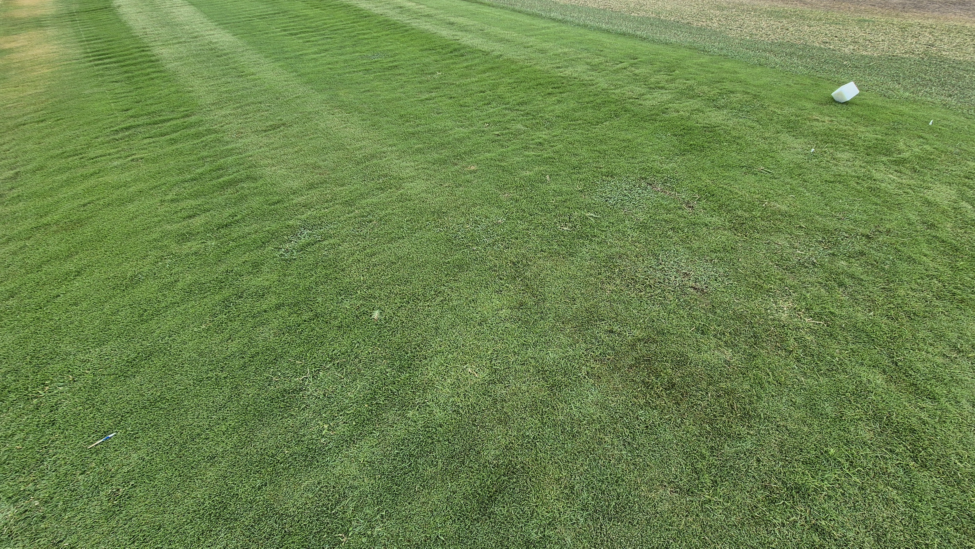 코랄오션cc 골프 라운드