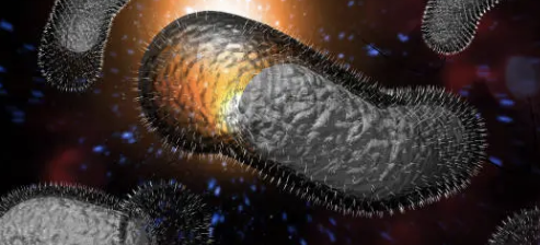 방귀가 많이 나오는 이유 32