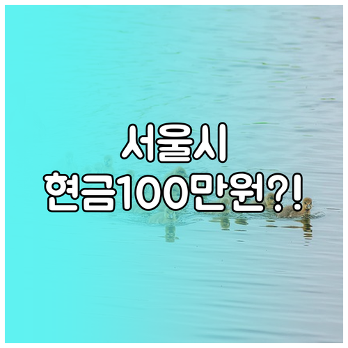 2025년 서울시 신혼부부 100만원..